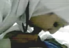La anal casero pene grande belleza se encuentra con la experiencia de recogida tardía